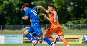 Navigating the Synergy Behind Successful Sporting Teams